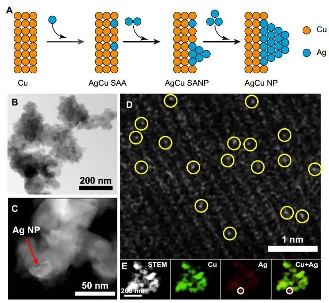 計算頂刊成果速遞：3篇Angew、2篇Nat. Commun.、JACS、AFM、Small等！