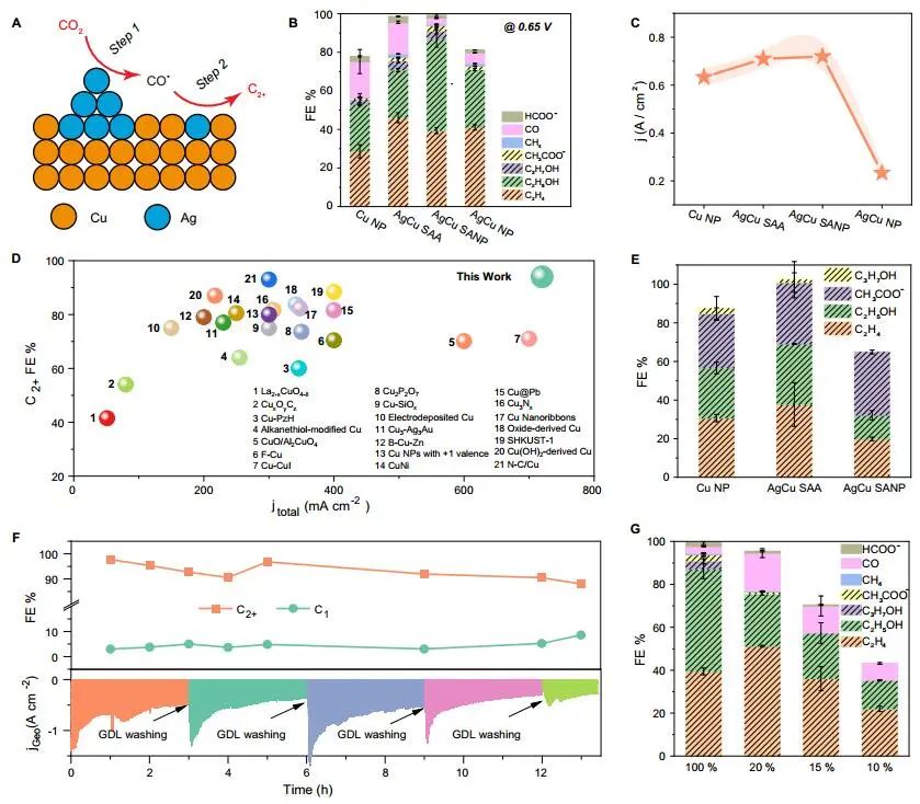 計算頂刊成果速遞：3篇Angew、2篇Nat. Commun.、JACS、AFM、Small等！
