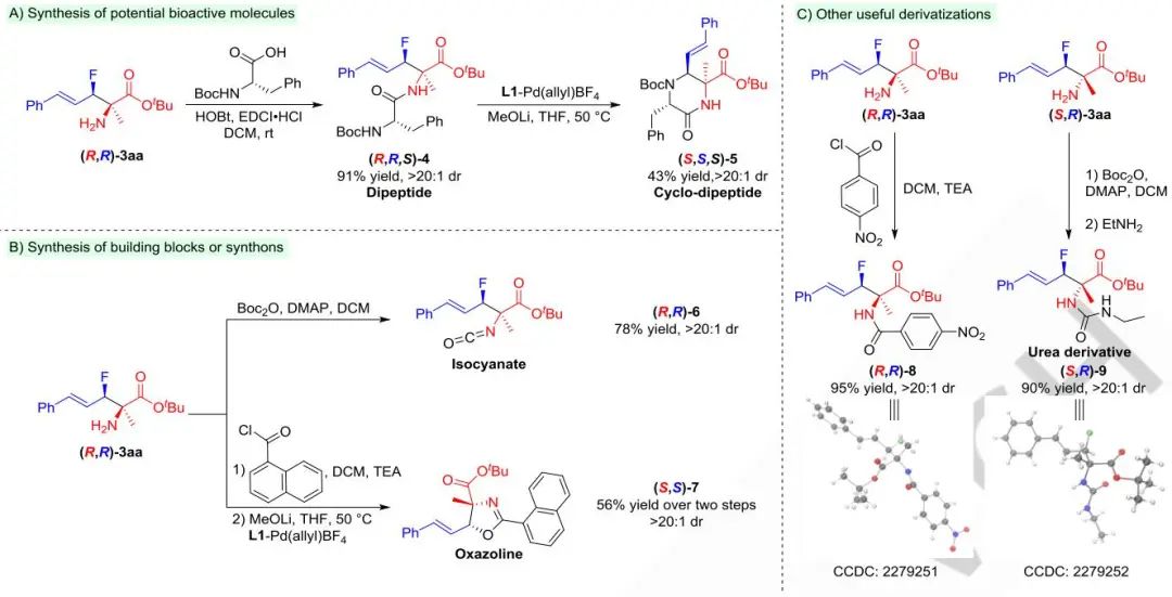 張萬斌等?Angew：Pd/Cu/Li三元體系助力合成氟化氨基酸！