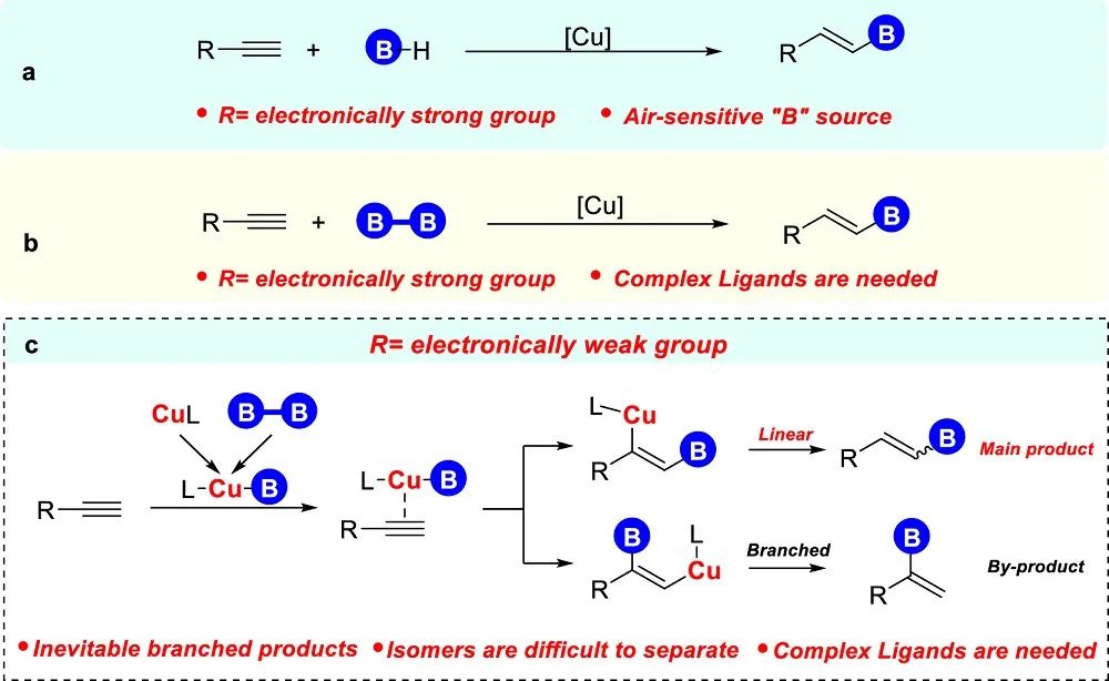 催化頂刊集錦：JACS、Angew.、ACS Energy Lett.、ACS Nano、ACS Catal.等最新成果