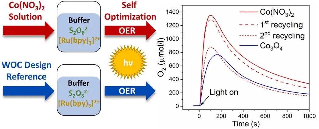 催化頂刊集錦：JACS、Angew.、ACS Energy Lett.、ACS Nano、ACS Catal.等最新成果
