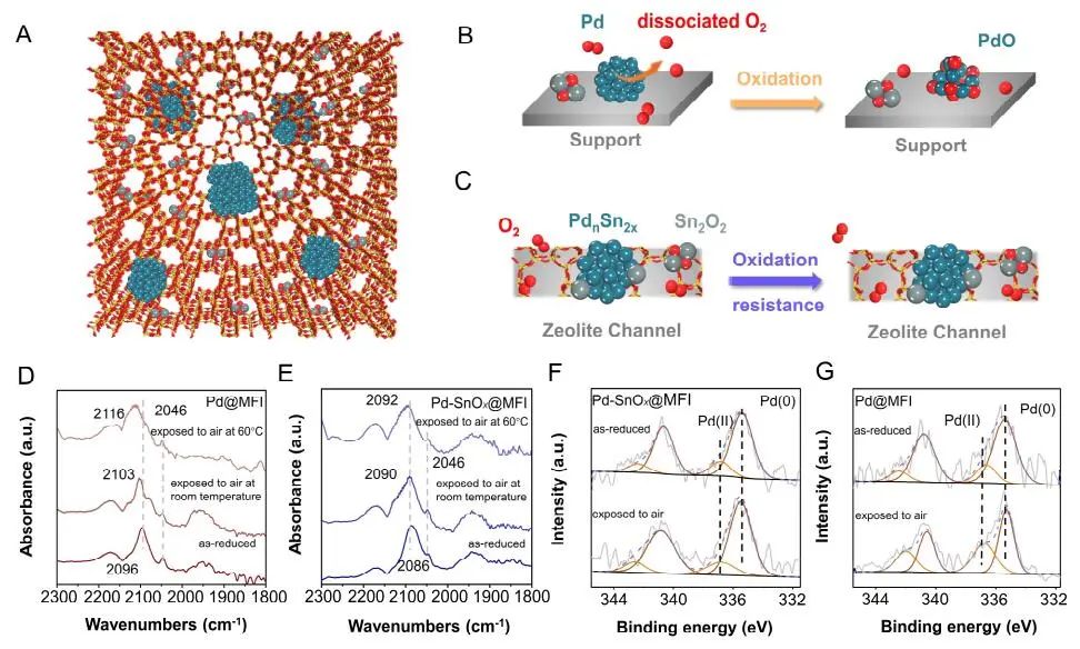 計算頂刊成果速遞：3篇Angew、2篇Nat. Commun.、JACS、AFM、Small等！