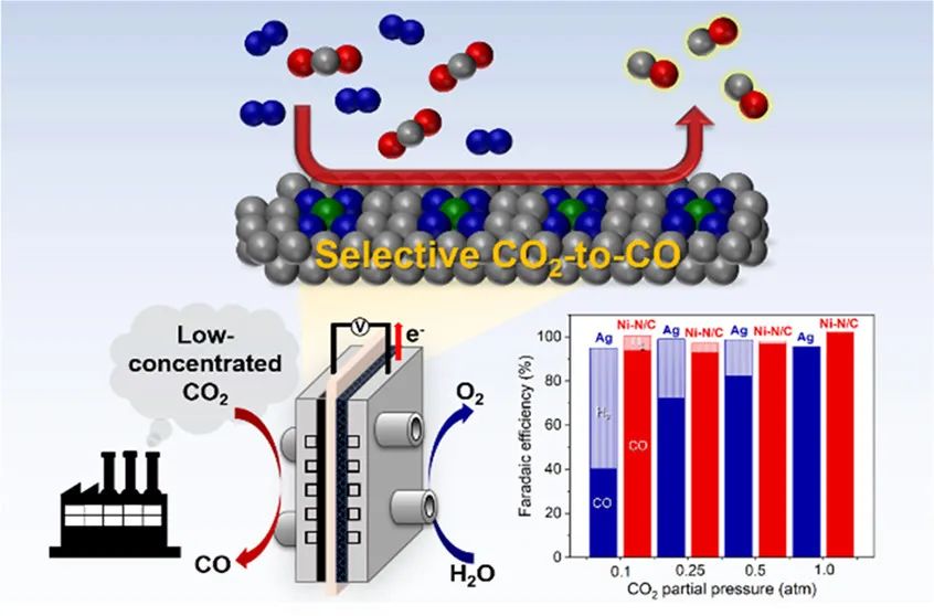 催化頂刊集錦：JACS、Angew.、ACS Energy Lett.、ACS Nano、ACS Catal.等最新成果