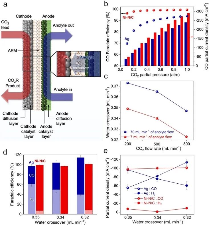 催化頂刊集錦：JACS、Angew.、ACS Energy Lett.、ACS Nano、ACS Catal.等最新成果