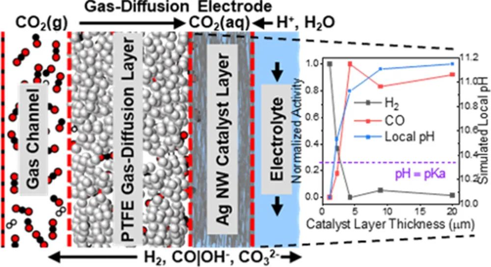 催化頂刊集錦：JACS、Angew.、ACS Energy Lett.、ACS Nano、ACS Catal.等最新成果