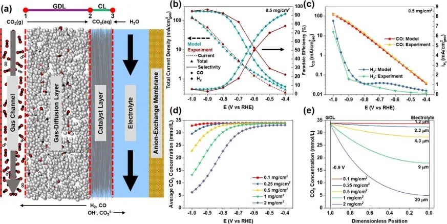 催化頂刊集錦：JACS、Angew.、ACS Energy Lett.、ACS Nano、ACS Catal.等最新成果