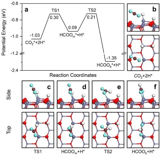 計算頂刊成果速遞：3篇Angew、2篇Nat. Commun.、JACS、AFM、Small等！