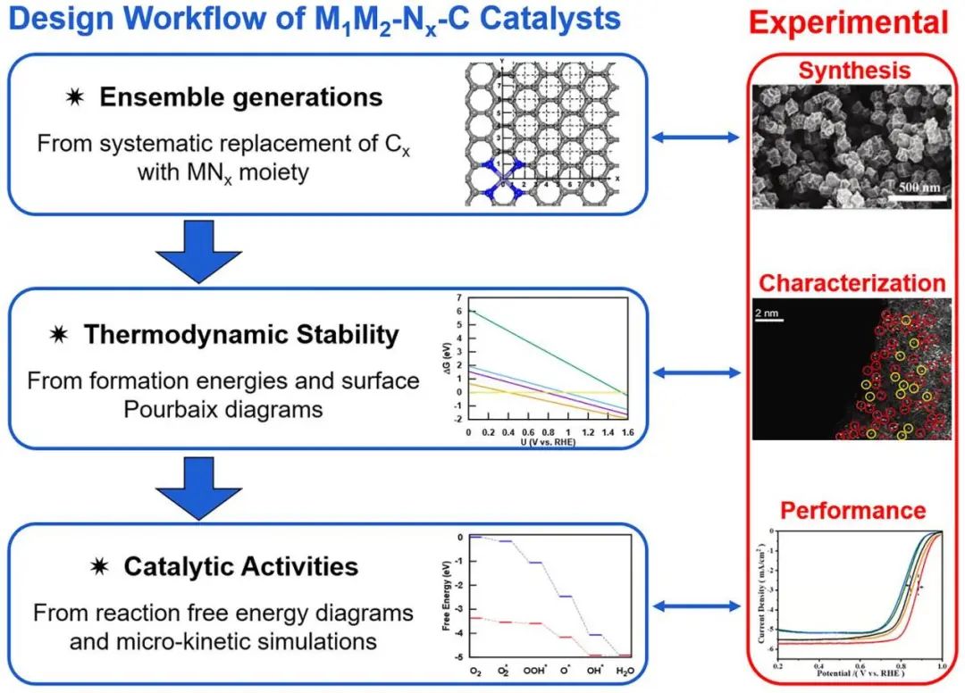 ACS Catalysis：氧還原反應雙金屬位催化劑的機理研究