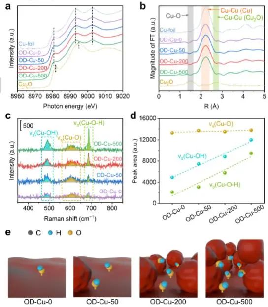 催化頂刊集錦：Nature子刊、JACS、Angew.、AFM、Nano Letters、ACS Catal.等成果
