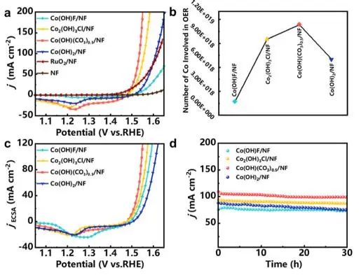 催化頂刊集錦：Nature子刊、JACS、Angew.、AFM、Nano Letters、ACS Catal.等成果