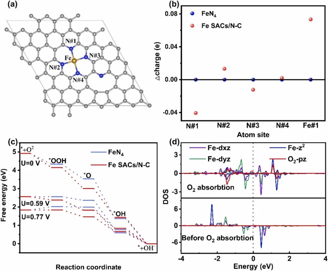 催化頂刊合集：JACS、Appl. Catal. B、AFM、Nano Energy、CEJ、ACS Nano等成果！