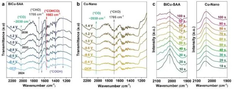 催化頂刊集錦：JACS、Angew.、ACS Catal.、Nano Energy、Nano Lett.等成果