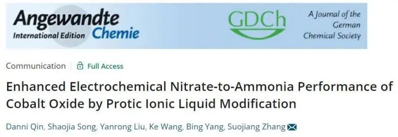 Angew.：Protic 離子液體立大功！對(duì)Co3O4?x改性以提高電化學(xué)硝酸鹽合成氨性能
