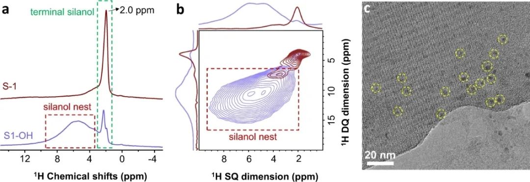 浙大肖豐收/王亮，最新Nature子刊！