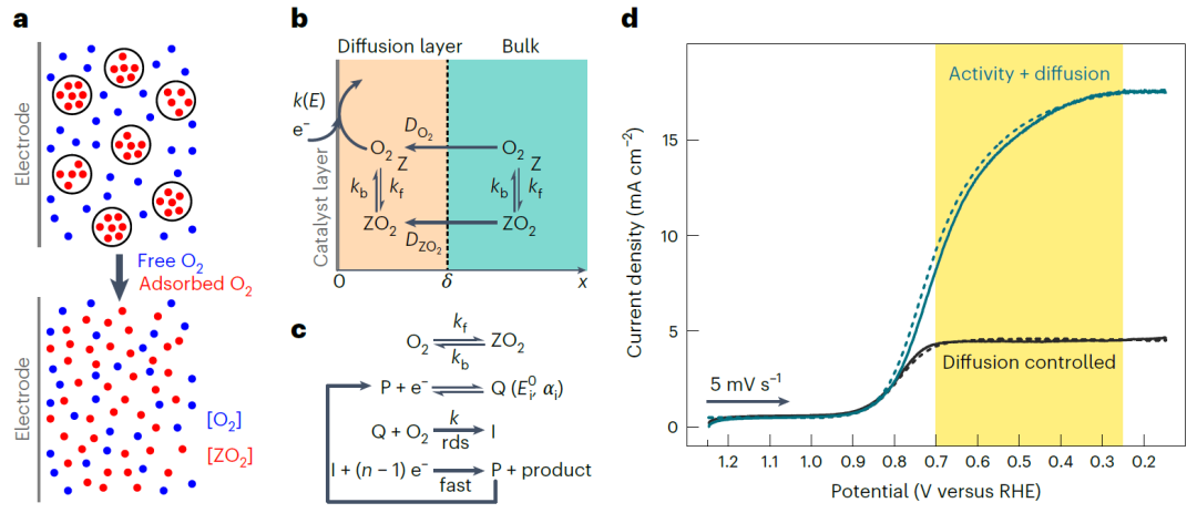 最新Nature Catalysis，在微孔中增強電催化氧還原活性！