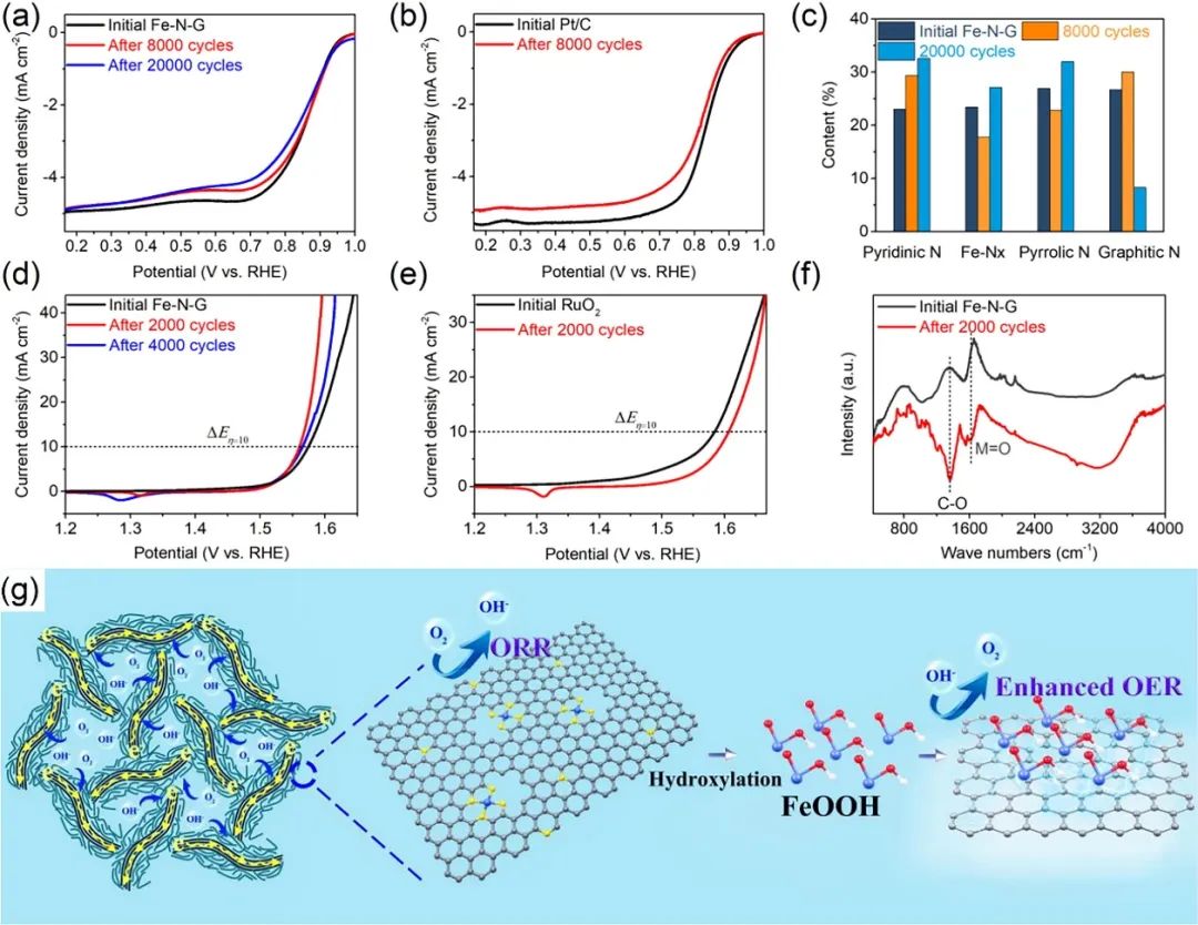 催化頂刊合集：JACS、Angew.、AFM、Small、Appl. Catal. B、JEC等成果