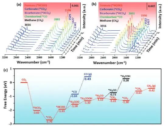 催化頂刊集錦：JACS、AEM、AFM、Adv. Sci.、ACS Catal.、ACS Nano、Small等成果
