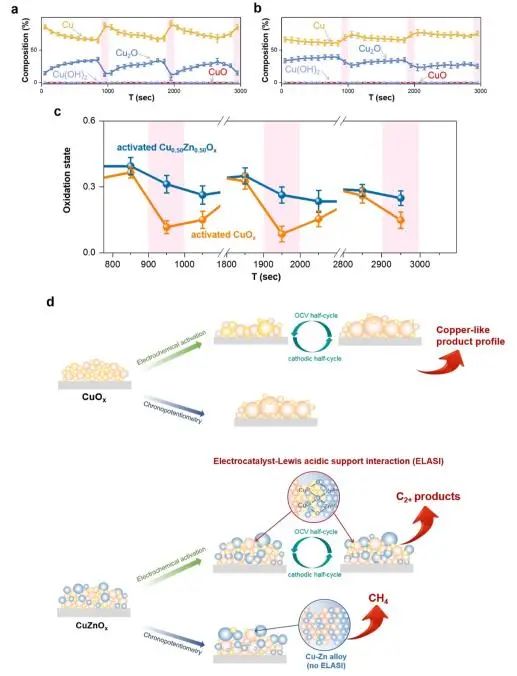 催化頂刊集錦：JACS、AEM、ACS Catalysis、ACS Nano、Small等成果