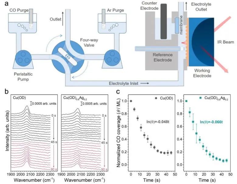 催化頂刊集錦：Nature、JACS、EES、ACS Catal.、ACS Nano、Small等成果精選！