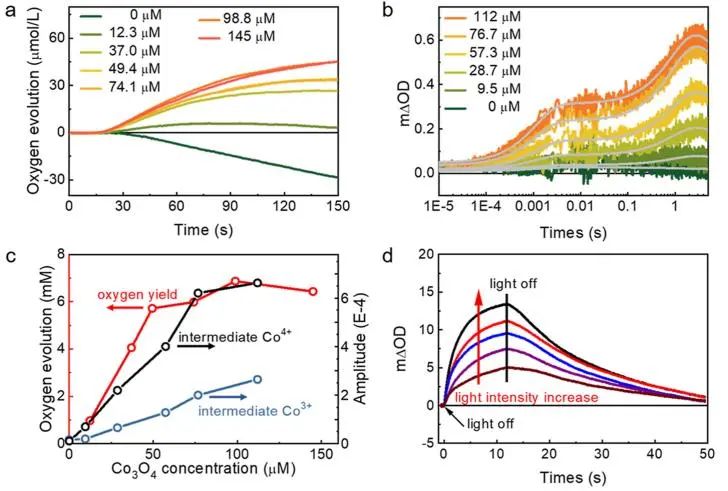 催化頂刊集錦：JACS、Nature子刊、ACS Catal.、AFM、Small、Carbon Energy等最新成果！