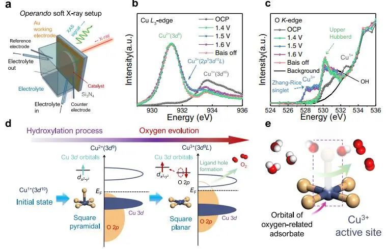 催化頂刊集錦：JACS、Nature子刊、ACS Catal.、AFM、Small、Carbon Energy等最新成果！