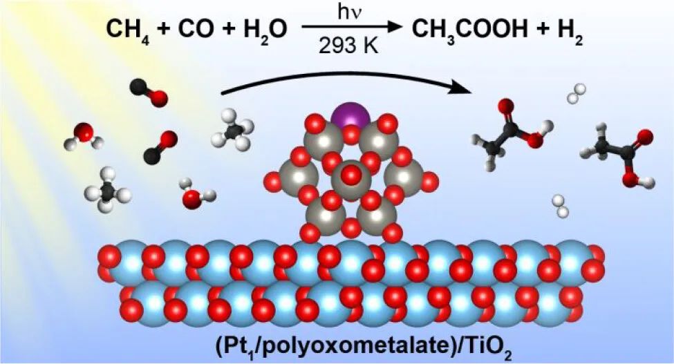 催化頂刊集錦：AFM、JACS、Adv. Sci.、ACS Nano、JMCA、CEJ等成果