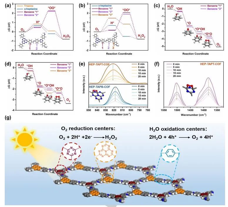 【計(jì)算+實(shí)驗(yàn)】頂刊集錦：3篇Angew 、3篇ACS Catalysis、2篇Small等最新成果精選！
