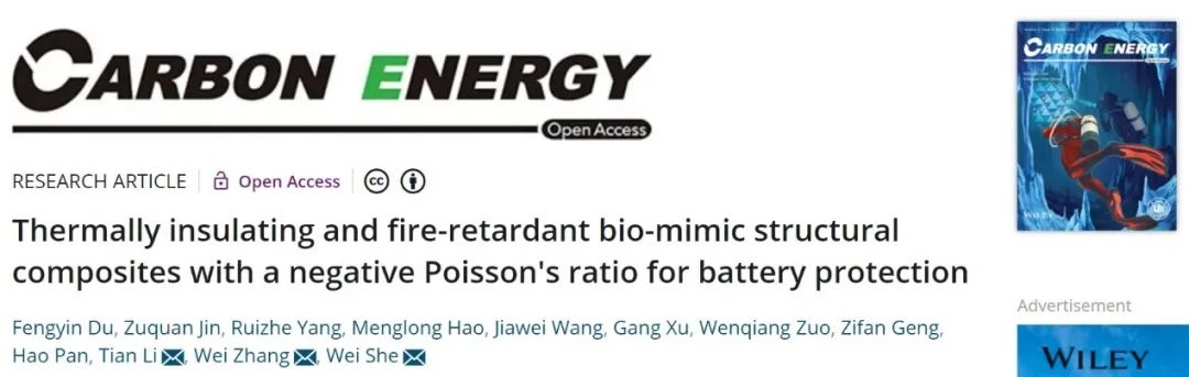 佘偉/章煒/李恬Carbon Energy：受木材啟發的隔熱阻燃材料助力電池保護
