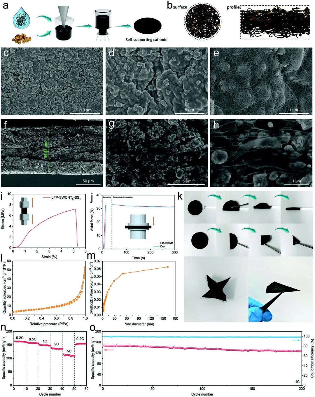 四川大學(xué)王延青Adv. Sci.：利用單分散超長單壁碳納米管制備自支撐LiFePO4正極