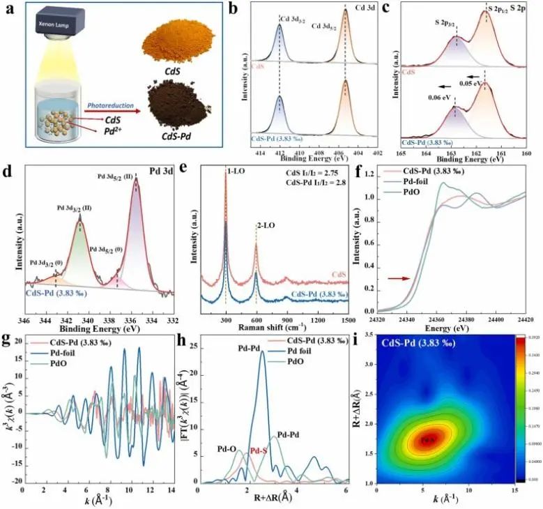 8篇催化頂刊：JACS、ML、JMCA、Small Methods、Small、Appl. Catal. B.等成果