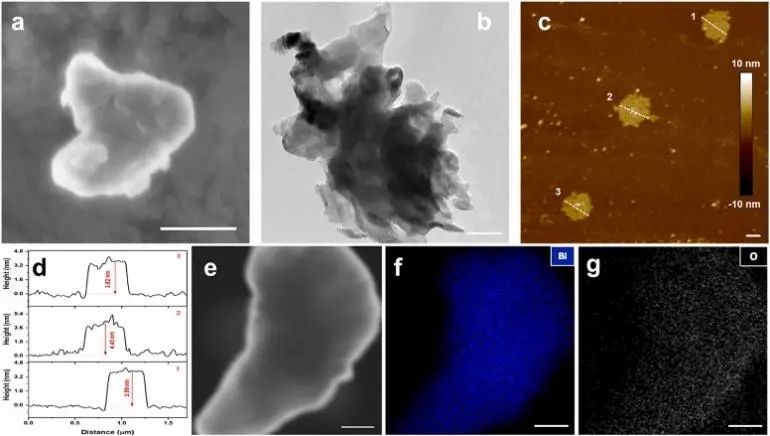 8篇催化頂刊：Nat. Commun.、JACS、Angew.、Nat. Catal.、Nano Energy等成果