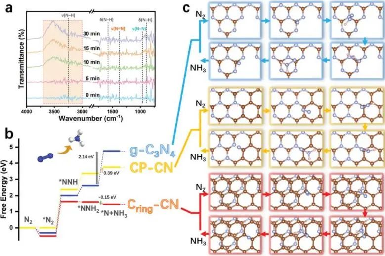 南理工楊勇/沈錦優Small: 生物質誘導的雙相碳裝飾: 波段和電子工程用于高效N2光固定