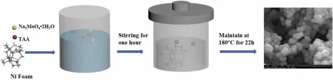 8篇催化頂刊：EES、Small、Adv. Sci.、JMCA、Nano Energy、Chem. Eng. J.等最新成果