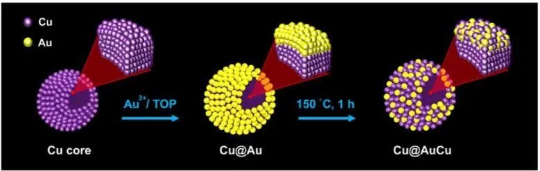 Nano Lett.: 純金亦低頭：高貴金屬利用率的Cu@AuCu增強電催化CO2RR