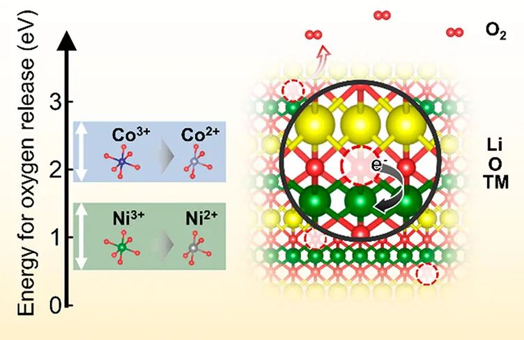 ACS Energy Lett.: 熱力學分析定量評估鋰離子電池正極中的晶格氧穩定性