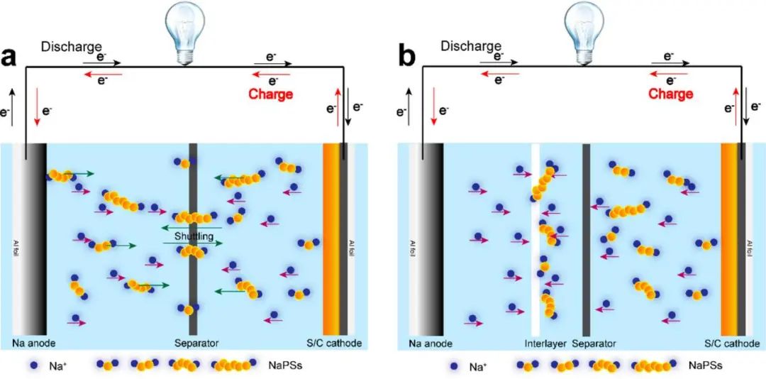 王志明/竇士學ACS Nano: 室溫鈉硫電池正極材料的納米結構工程策略