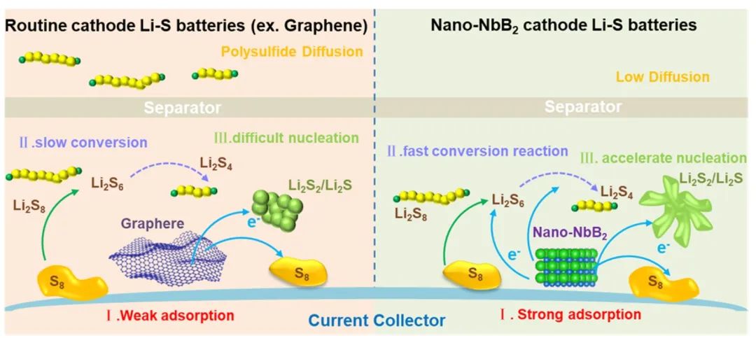 山大徐立強(qiáng)ACS Nano：硼化物催化主體助力鋰硫電池10C循環(huán)1300次！