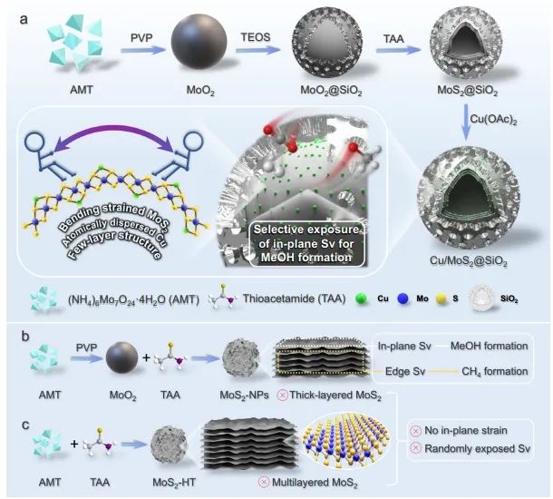 催化頂刊集錦：Angew、JACS、Nature子刊、AFM、ACS Catal.、Adv. Sci.等成果