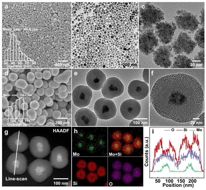 催化頂刊集錦：Angew、JACS、Nature子刊、AFM、ACS Catal.、Adv. Sci.等成果