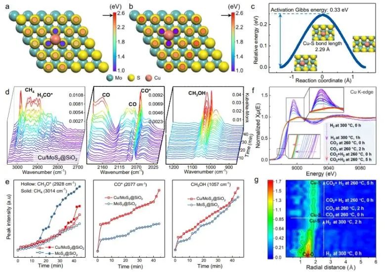 催化頂刊集錦：Angew、JACS、Nature子刊、AFM、ACS Catal.、Adv. Sci.等成果