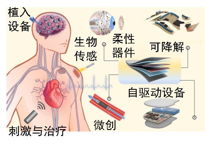厲害了！90后，首席科學(xué)家！牽頭國(guó)家重點(diǎn)專(zhuān)項(xiàng)項(xiàng)目！