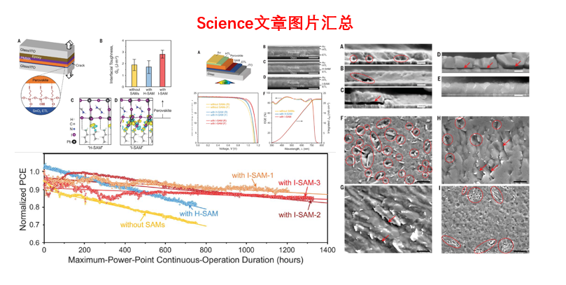 相同方法，為何老外發(fā)Science，國人只發(fā)JMCA？大神來剖析！