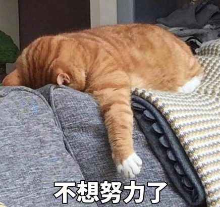 大學老師沒有累倒在課堂，卻“暈倒”在假期！