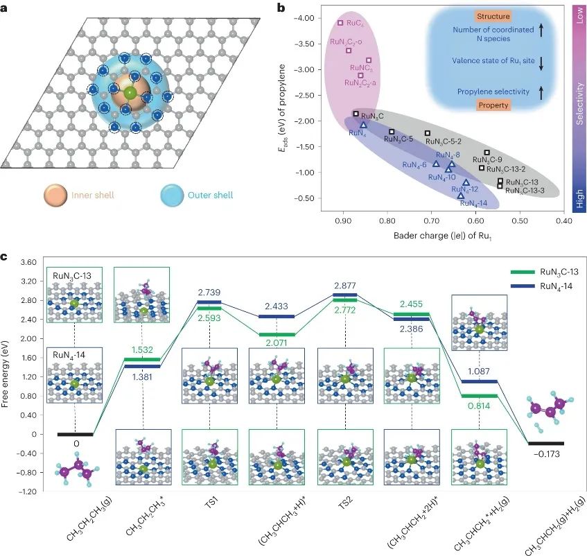 大連化物所&福大，最新Nature Catalysis！