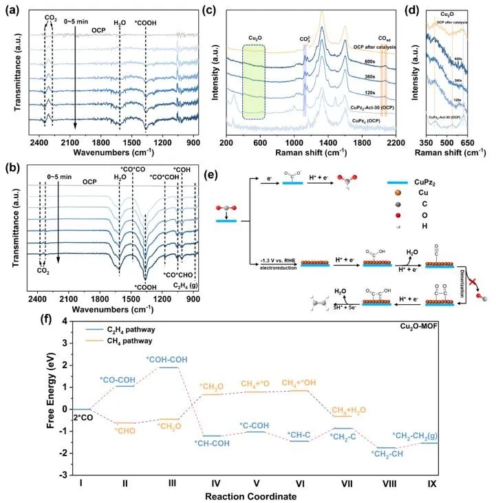 ?南師大ACS Catalysis：CuPz2原位重構(gòu)為Cu/Cu2O納米團(tuán)簇，實(shí)現(xiàn)選擇性電還原CO2制C2H4