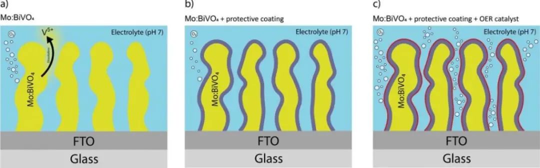 AFM：Fe0.1Ni0.9O薄膜保護的Mo:BiVO4光電極用于高效穩定光電化學OER