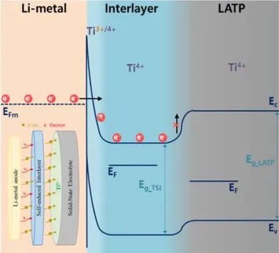 AFM：定制能帶對(duì)齊的界面建模實(shí)現(xiàn)電化學(xué)穩(wěn)定的全固態(tài)鋰金屬電池