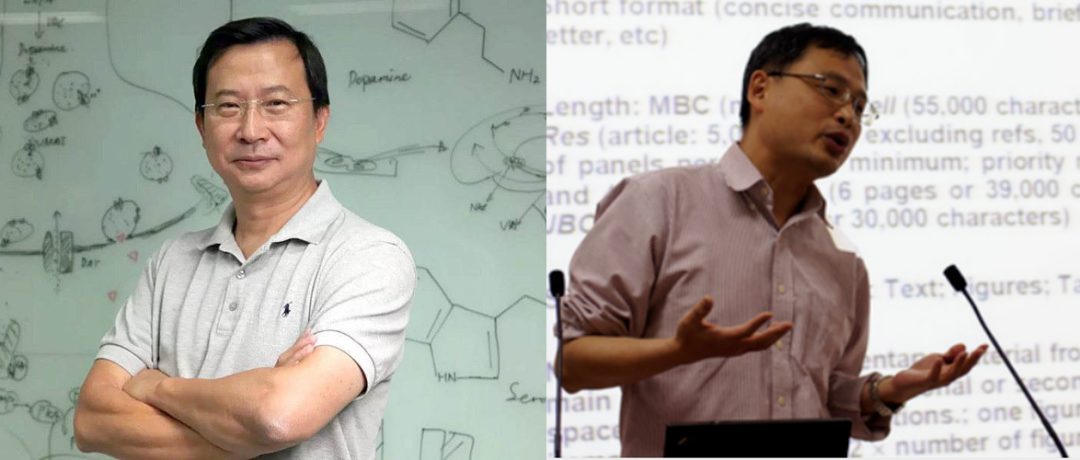 饒毅：“有理有據(jù)的逐點反駁” 香港大學金冬雁的一堆說法