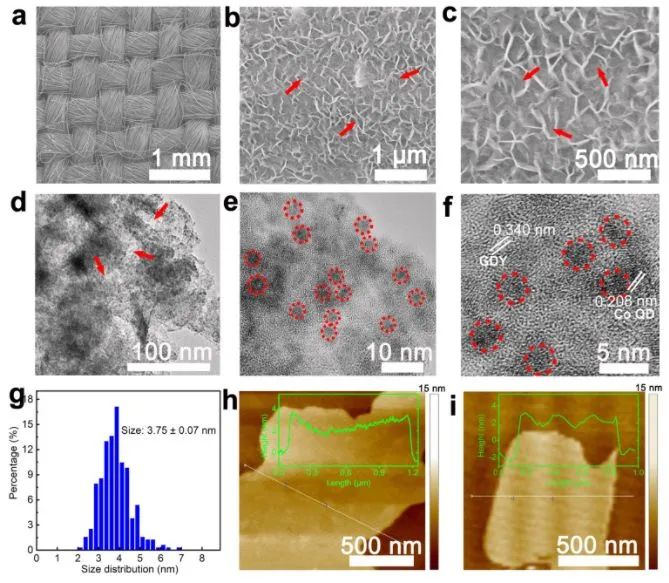 中科院李玉良/山大薛玉瑞Nano Energy: 多孔石墨炔負載CoOx量子點用于固氮反應