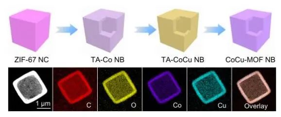 樓雄文Angew.：CoCu-MOF NBs實現高效電化學OER